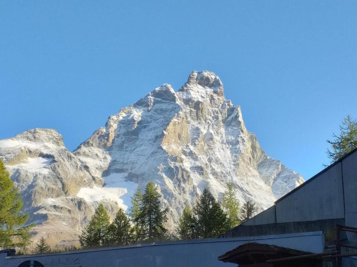 Soldanella Cervinia Apartment Vda Vacanze In Vetta Cir 0253 Breuil-Cervinia Luaran gambar
