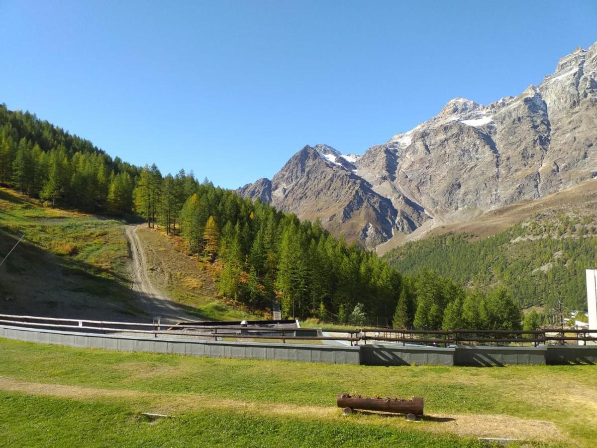Soldanella Cervinia Apartment Vda Vacanze In Vetta Cir 0253 Breuil-Cervinia Luaran gambar